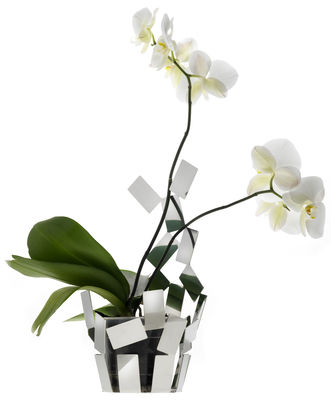 Alessi La Stanza dello Scirocco Flower-pot holder. Glossy metal