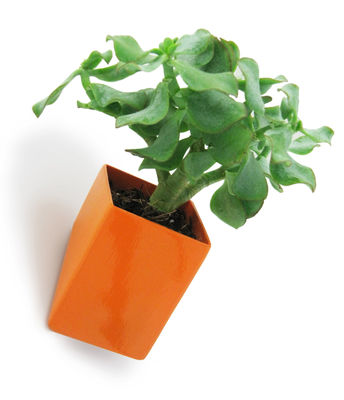 Thelermont Hupton Off the wall Flowerpot - Small / Wall fixation - D 8 cm. Orange