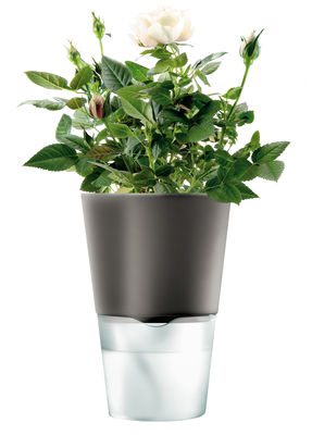 Eva Solo avec réserve d'eau Flowerpot - With water tank - Large model. Charcoal grey