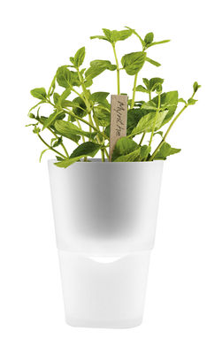 Eva Solo Flowerpot - with water tank - Ø 11 cm - Glass. Transparent