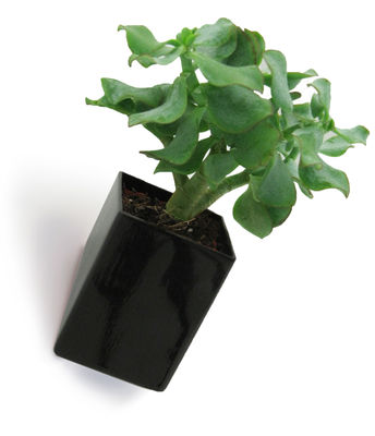 Thelermont Hupton Off the wall Flowerpot - Small / Wall fixation - D 8 cm. Black