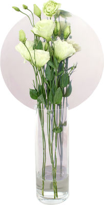 Petite Friture Narciso Cerchio Vase - High. Transparent,Mirror