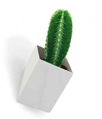 Thelermont Hupton Off the wall Flowerpot - Small / Wall fiwation - D 8 cm. White
