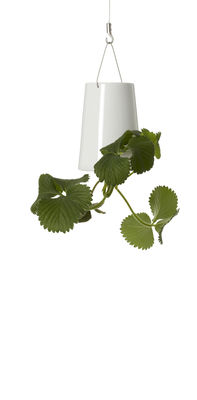 Boskke Sky Planter - Extra Small - H 12 cm / Upside down planter. White
