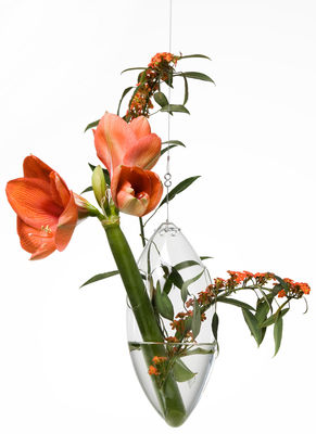 Tsé-Tsé Paresseux Vase - Hanging vase. Transparent