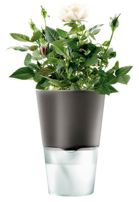 Eva Solo avec réserve d'eau Flowerpot - With water tank - Small model. Charcoal grey