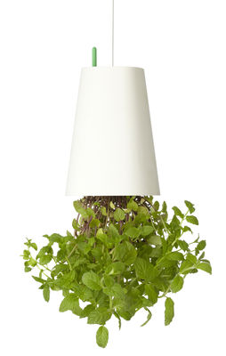 Boskke Sky Planter - Polypropylene Small - H 13 cm / Upside down planter. White