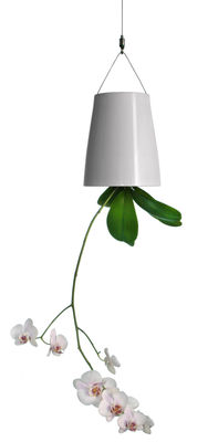 Boskke Sky Planter - Medium - H 19 cm / Upside down planter. White