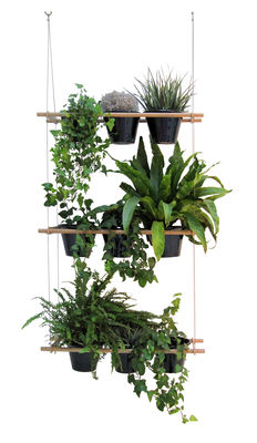Compagnie Etcetera Planter - Vegetable screen. Light wood