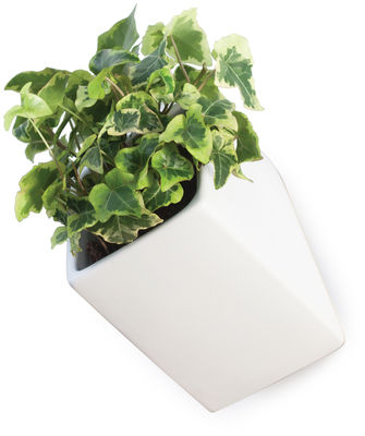 Thelermont Hupton Off the wall Flowerpot - Large - D 11,5 cm. White