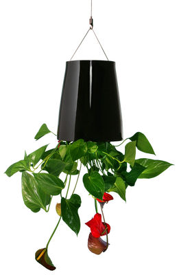 Boskke Sky Planter - Medium - H 19 cm / Upside down planter. Black