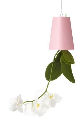 Boskke Sky Planter - Polypropylene Small - H 13 cm / Upside down planter. Pink