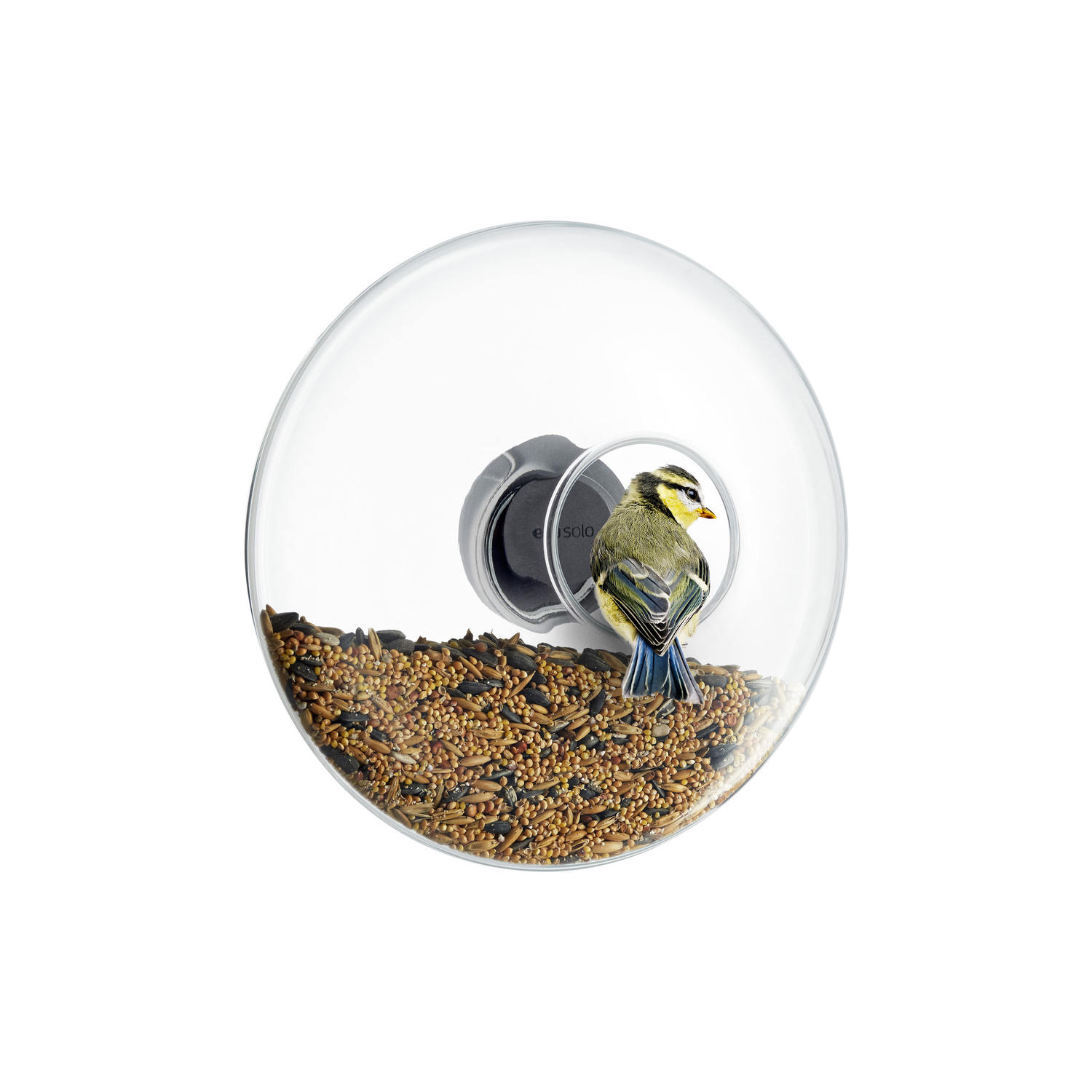 Eva Trio Unisex Transparent - Futterstelle Für Vögel Oiseaux - Gummi - Designer The Tools