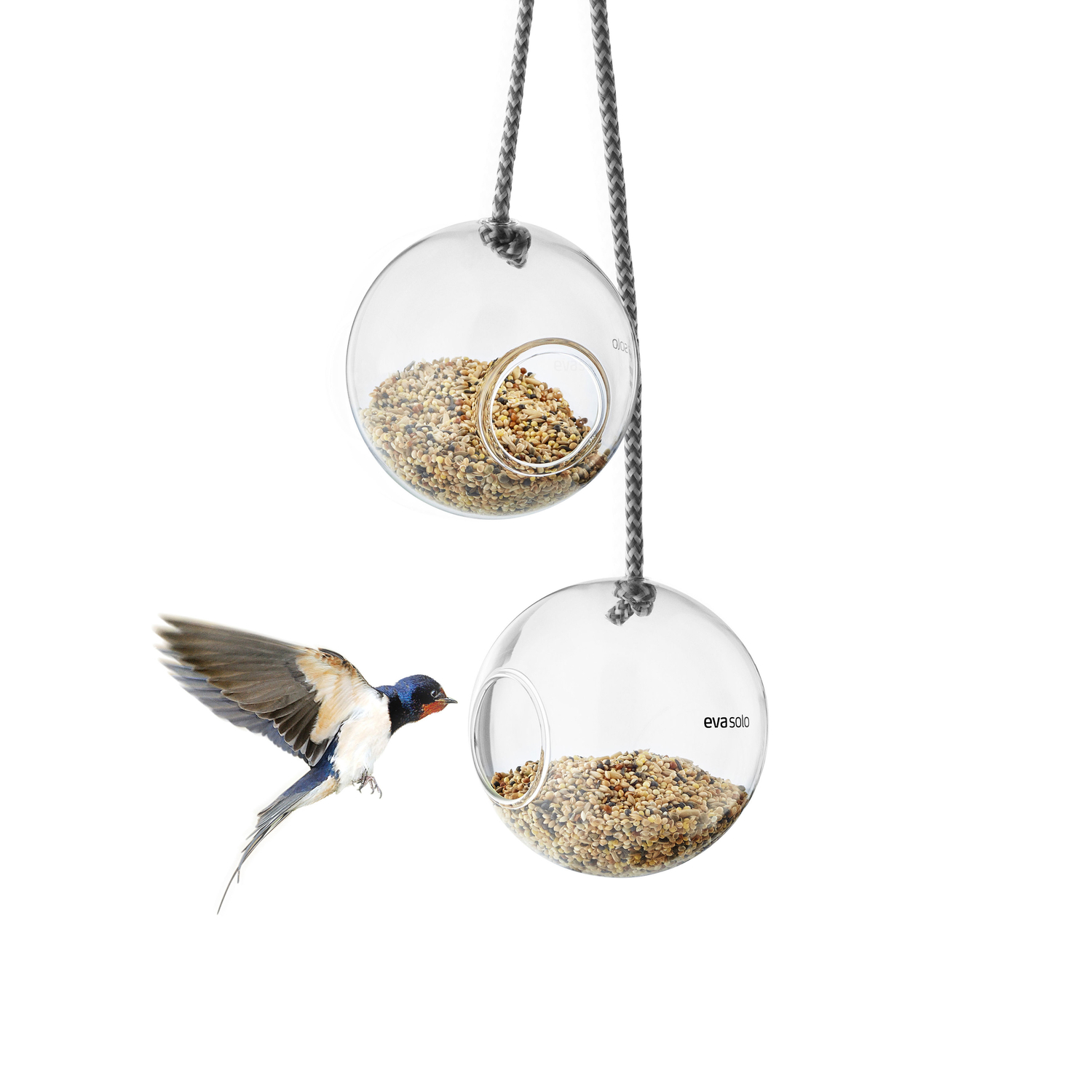 Eva Trio - Futterstelle Für Vögel Oiseaux - Transparent - Borosilikatglas - Designer The Tools