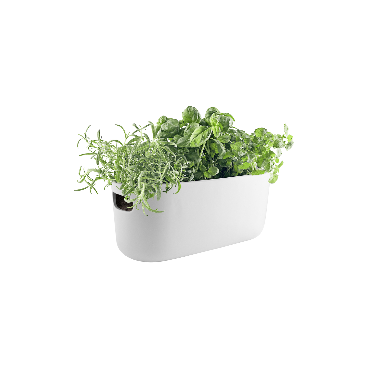 Eva Trio White - Pot Water Storage Pot De Fleurs - Nylon - Designer The Tools
