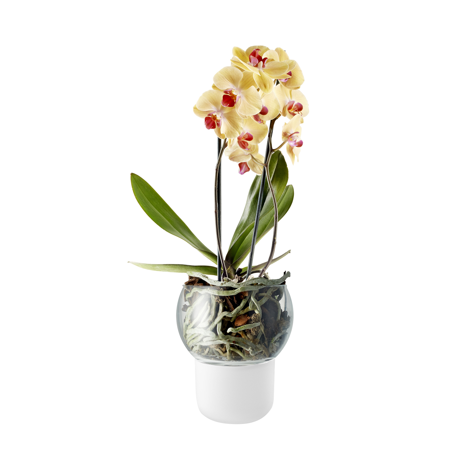 Eva Trio - Blumentopf Mit Wasserreservoir Pot De Fleurs - Weiß - Opal-Glas - Designer The Tools