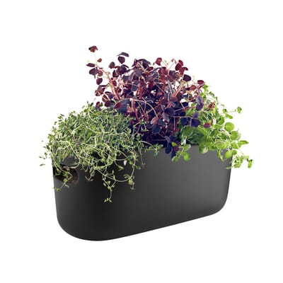 Pot à réserve d'eau Herb céramique noir / Bac à herbes aromatiques - Eva Solo