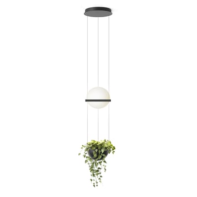 Suspension Palma LED métal verre gris / Verticale & jardinière - Vibia
