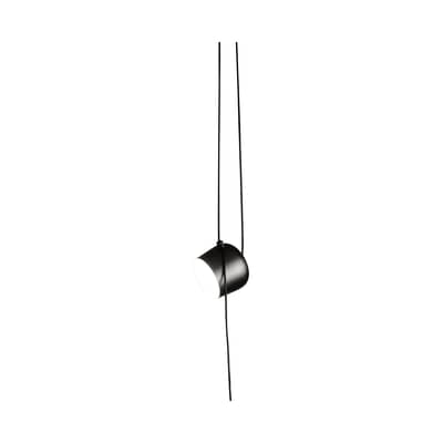 Flos, Aim Noir, R. & E.Bourollec, 2013