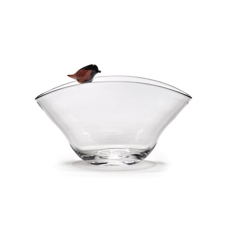 Coupe Perch verre transparent / 31 x 31 cm - Serax