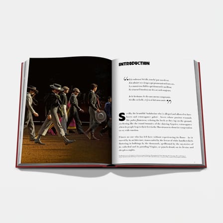 Livre Sevilla Arte / Langue Anglaise - Editions Assouline