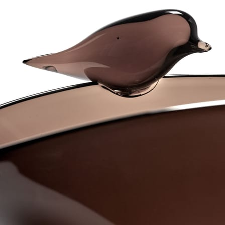 Coupe Perch verre marron / 31 x 31 cm - Serax
