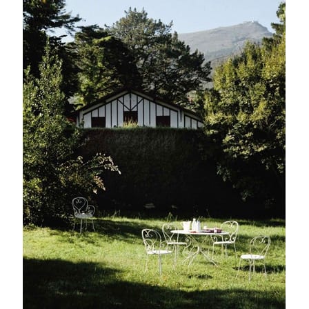 Chaise empilable 1900 métal vert - Fermob