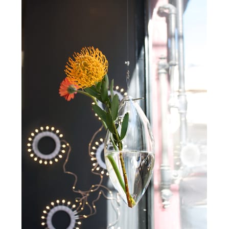Vase Paresseux verre transparent à suspendre - Tsé-Tsé