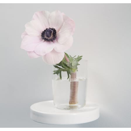 Étagère Balcon céramique blanc / Ø 14 cm - Moustache