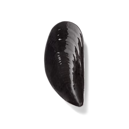 Plat de service Marcel Medium céramique noir / 30.5 x 14 cm - Serax