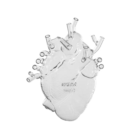 Vase Love in Bloom verre transparent / H 25 cm - Marcantonio, 2018 - Seletti