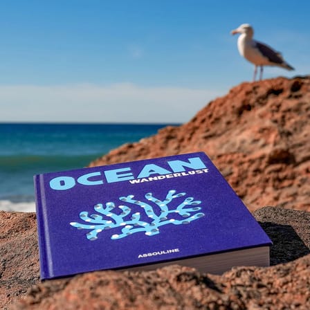 Livre Ocean Wanderlust / Langue Anglaise - Editions Assouline