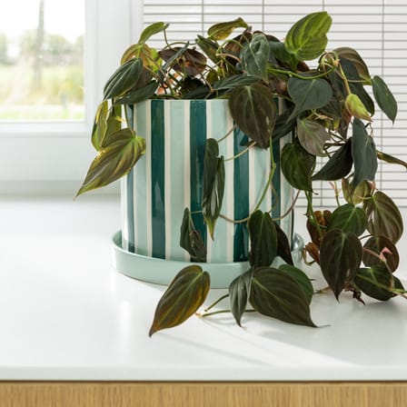 Vaso per fiori Clash ceramica verde / Con piattino sottotazza - Ø 23,5 x H 21 cm - & klevering