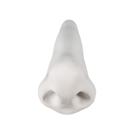 Décoration Memorabilia Mvsevm céramique blanc / Nez - Seletti