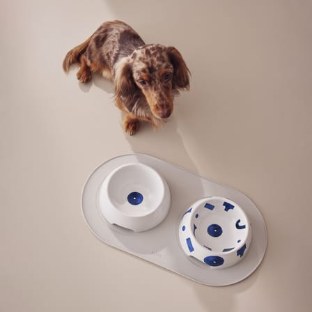 Gamelle pour chien Itsumo céramique / Bol à eau - Small Ø 18 cm - Alessi