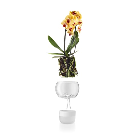 Blumentopf mit Wasserreservoir  glas weiß groß Ø 15 cm / für Orchideen - Eva Solo