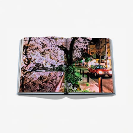 Livre Kyoto Serenity / Langue Anglaise - Editions Assouline