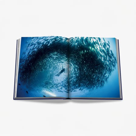 Livre Ocean Wanderlust / Langue Anglaise - Editions Assouline