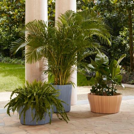 Cache-pot Corteza Small plastique gris / 50 x 53 cm x H 56 cm - Kartell