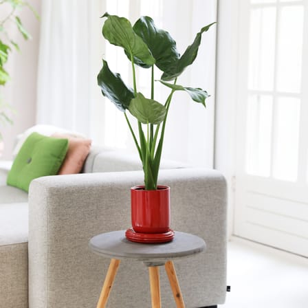 Churros Flowerpot ceramic red / Ø 19.5 x H 21 cm - & klevering