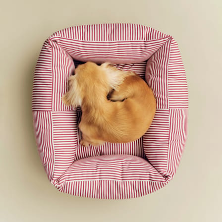 Letto per cane Hay Dogs tessuto rosso / XS - 43 x 52 cm - Hay