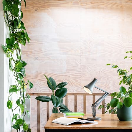 Lampe de table 90 Mini Mini LED métal vert / Branchement secteur ou USB - Anglepoise