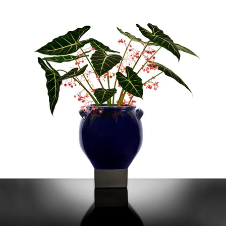 Pot de fleurs Rosamar 08 céramique bleu / Ø 39  cm x H 48.5 cm - Serax