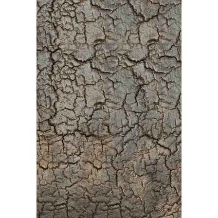 Console Pentagon métal noir / 150 x 40 cm x H 75 cm - Plateaux sculptés main - Ethnicraft