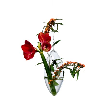 Vase Paresseux verre transparent à suspendre - Tsé-Tsé