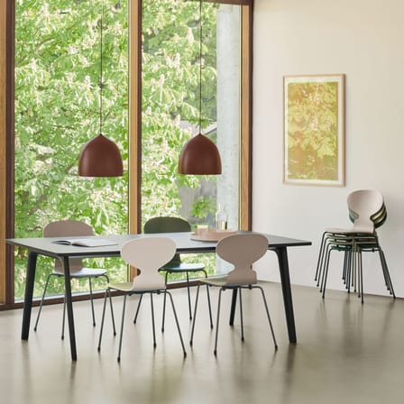 Fourmi Stacking chair wood white / Teinted wood - Arne Jacobsen, 1952 - Fritz Hansen