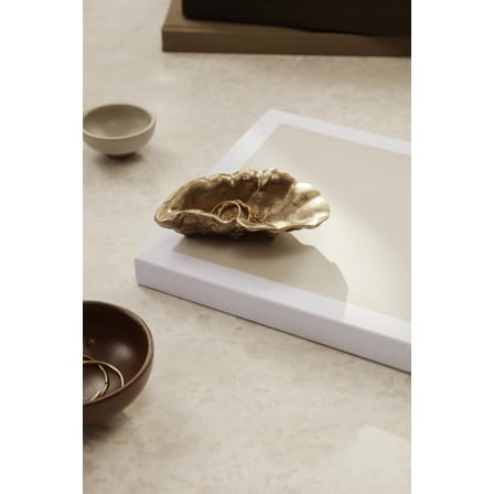 Oyster Bowl gold metal / Trinket bowl  - Brass / 10 x 7 cm - Ferm Living