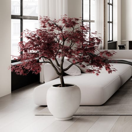 Hochwertige Designer Blumentpfe | Made in Design