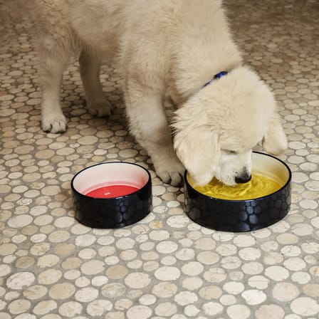 Gamelle pour chien & chat Hay Dogs céramique beige / Small - Ø 15,5 x H 7 cm - Hay
