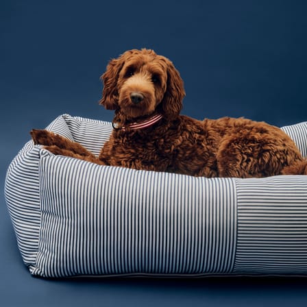 Lit pour chien Hay Dogs tissu bleu / Large - 75 x 96 cm - Hay